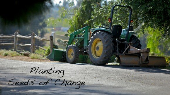 Planting Seeds of Change