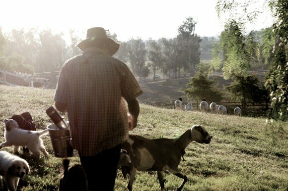 Flavio tending to the animals in the morning.